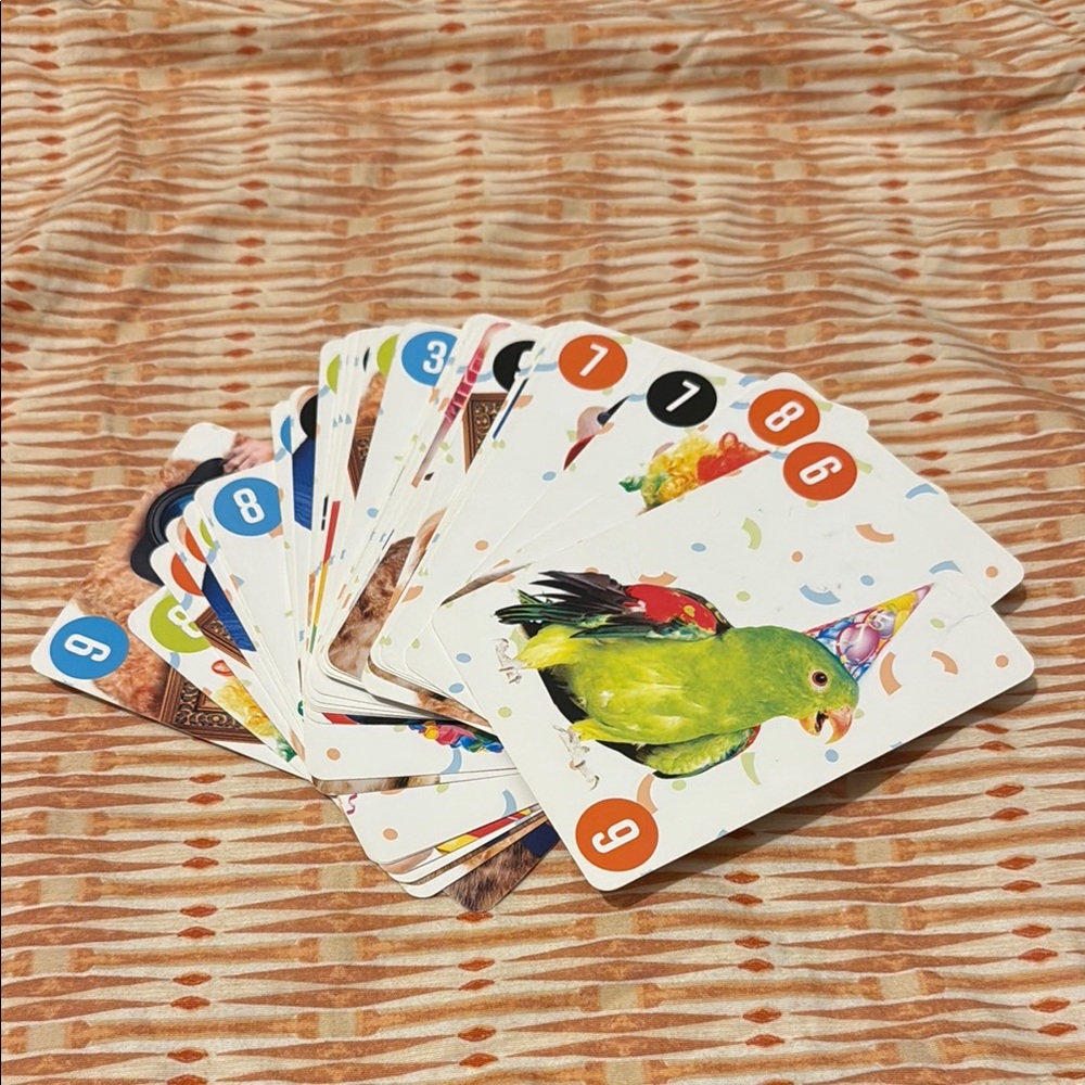 Colorful Bird-Themed Playing Cards